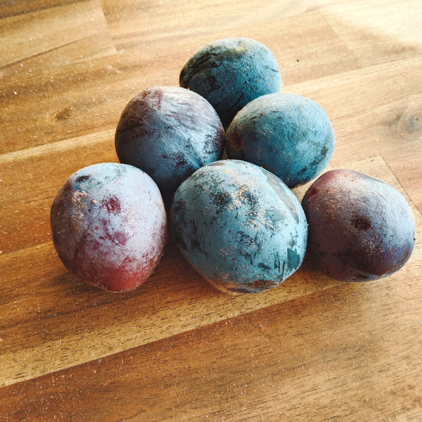 A small pile of Davidsonia pruriens "Davidson's Plum" fruits; they are dark purple / blue colour and covered in tiny brown hairs.